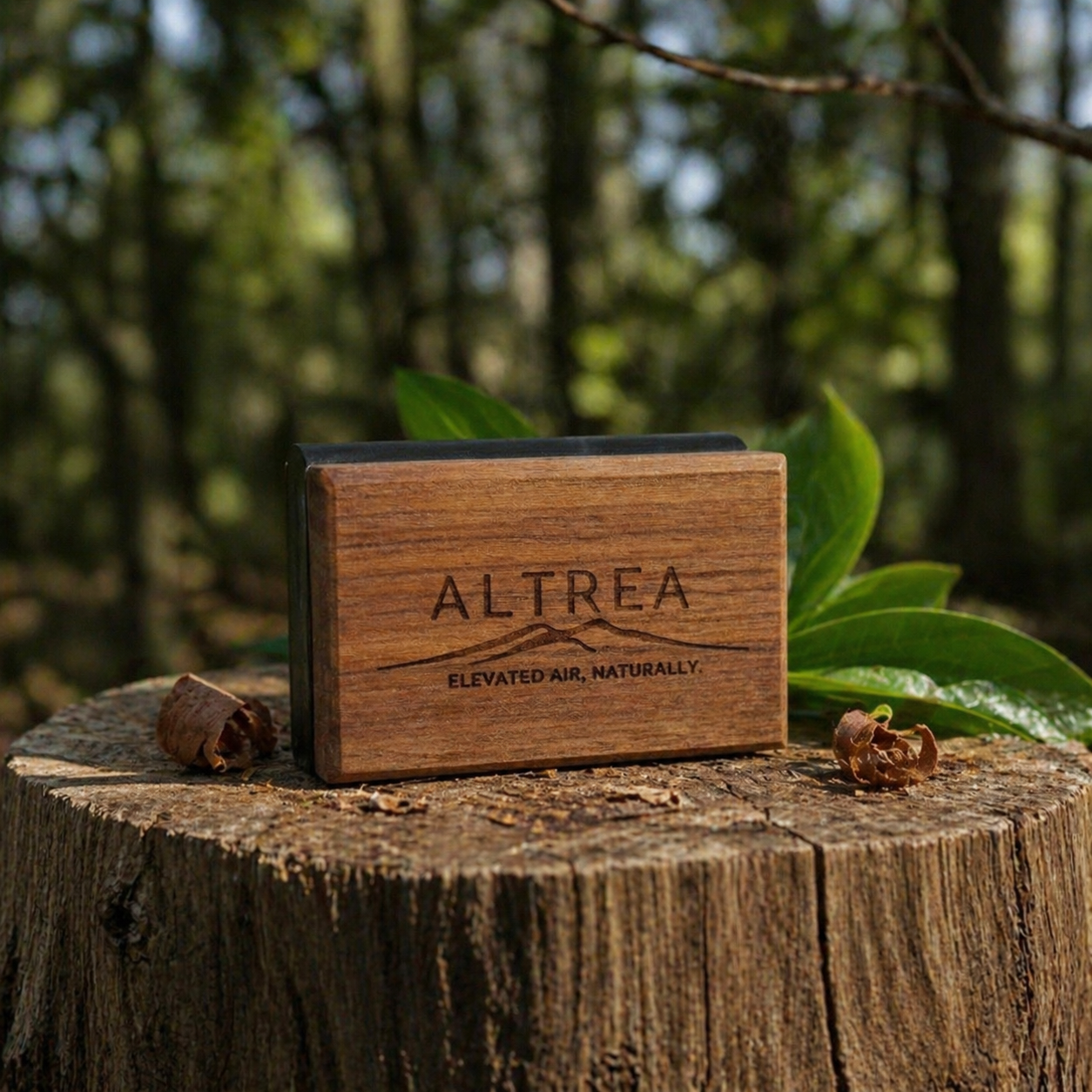 Verdant Teak